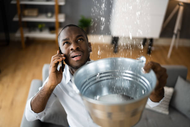 Best Water damage restoration near me  in Las Campanas, NM