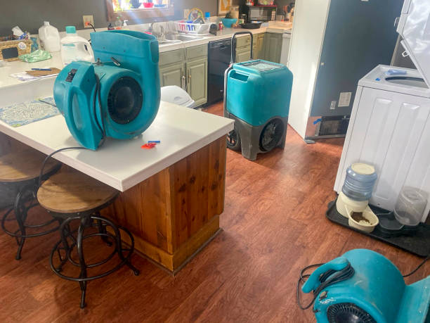 Best Water damage cleanup near me  in Las Campanas, NM