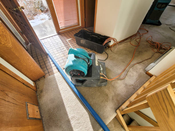 Best Sewage cleanup and water damage restoration  in Las Campanas, NM