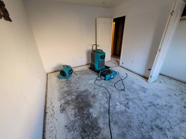 Best Basement water damage restoration  in Las Campanas, NM