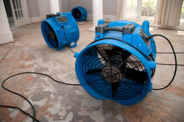Best Flooded house restoration  in Las Campanas, NM