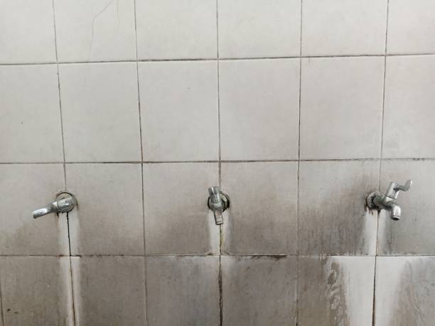 Best 24/7 water damage repair  in Las Campanas, NM