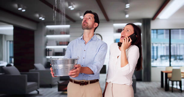 Best Professional water damage repair  in Las Campanas, NM